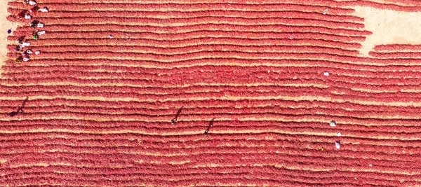 【纪检人·镜头】万物收藏 静待寒冬