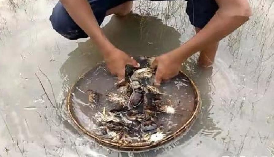 小伙做直播“条件差”,看到这些螃蟹,网友这顿没几千块吃不了