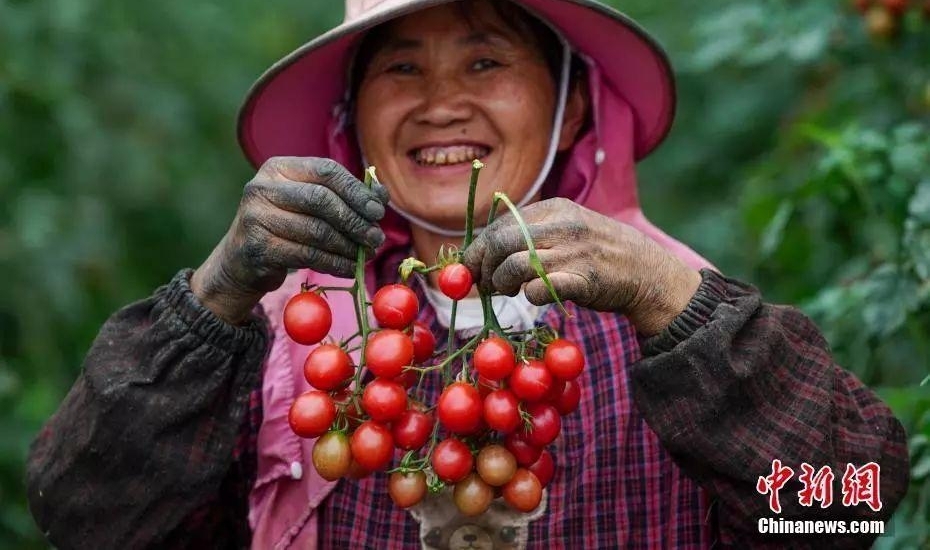 ����������� | 2018-09-23