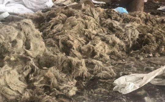 ̣ŮѰҰȮֺ ಿŲ鴦ϰٻȮ