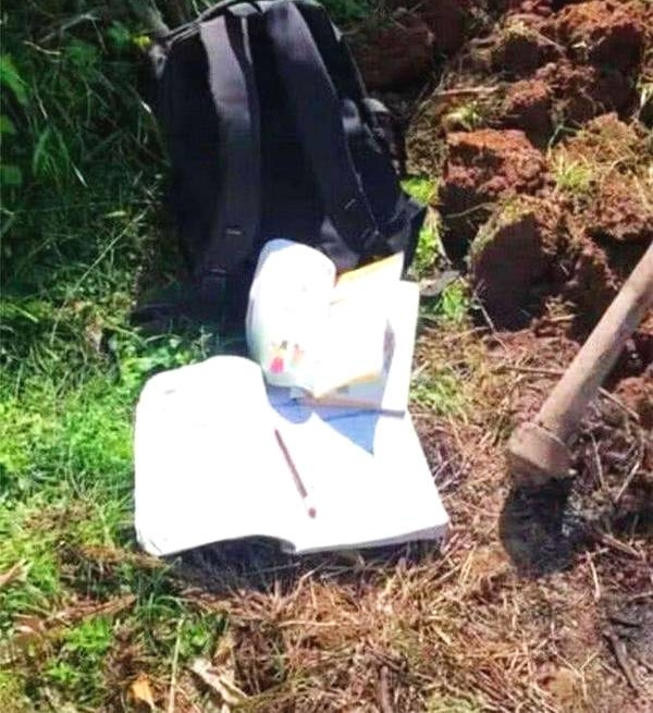 9岁男孩背2岁弟弟锄地,大家以为是作秀,看到旁边放的东西泪崩