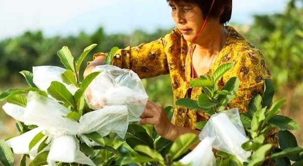 【纪检人·镜头】万物收藏 静待寒冬