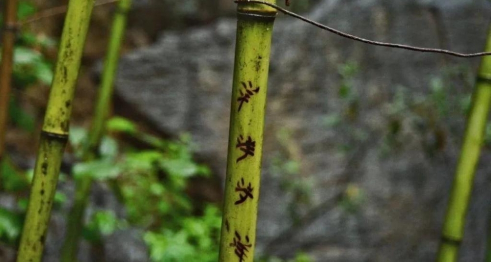 ���㲻Ҫ���ƻ������羰�ˣ�