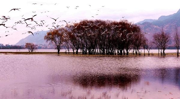 【纪检人·镜头】万物收藏 静待寒冬