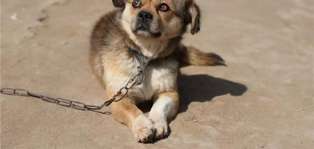 ݴүΪл԰Ȯ֤ܣԱΪȮ