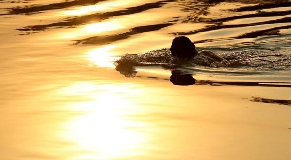 【纪检人·镜头】万物收藏 静待寒冬