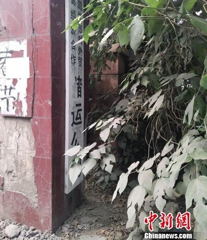 �ӱ�����һ��ҵ��������δ�� ��Ժ�о��ѵָ�������