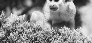 ������������ද����פʯ��ׯ����԰