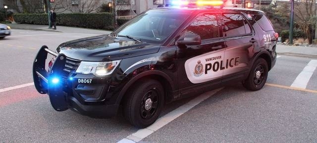 Σ棡Щ̬סڴ£ͯ֡ܡʩ