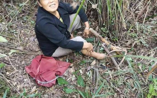 ��������Ұ���� �Ծ�Ԯ��Ա˵��һ�仰����������