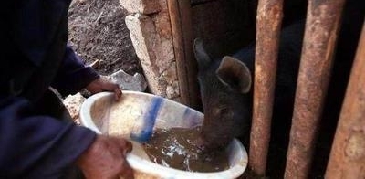 ũ9Ѯÿͽ10ﱳˮ, 25ˮͰѹ