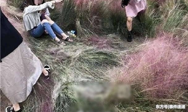 ���ִݻ�! �ο�Ϊ�����Ҳ�, �㽭������컨��3�մݻ�