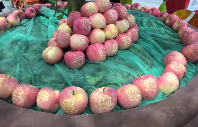 ƻ��Ҳ������ô�棿��ͨ���չ������Ϣ���ô�