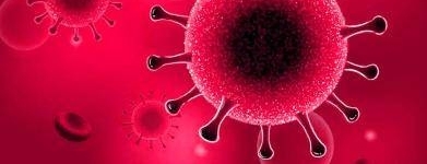 ֢ڲҪƻǷؼңҽ˴ʵ