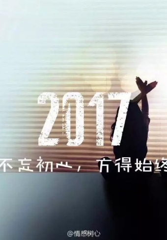 2017   ʼ