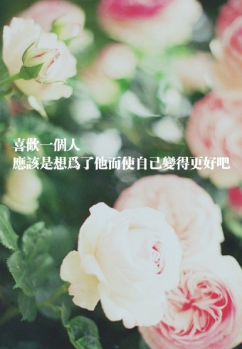 ˣమ漣 Ψ