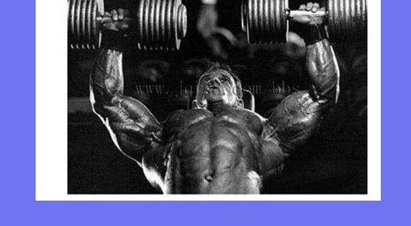 �������ʿֹͣѵ���������ô����