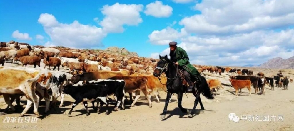 �ĸ￪������2018�ֻ���Ӱ�����������ܽ���¯��