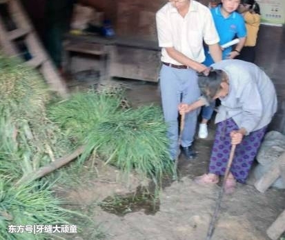 23ǰʮ꺢Ӿ־Ը̽丸ĸ