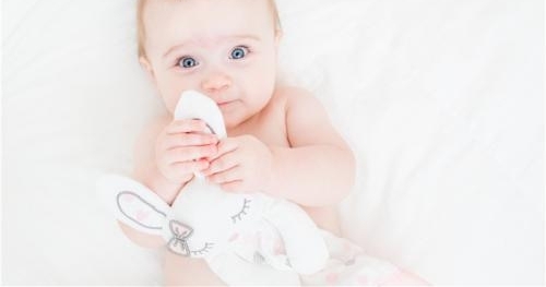 տģLulujo Baby조Ȥȡд