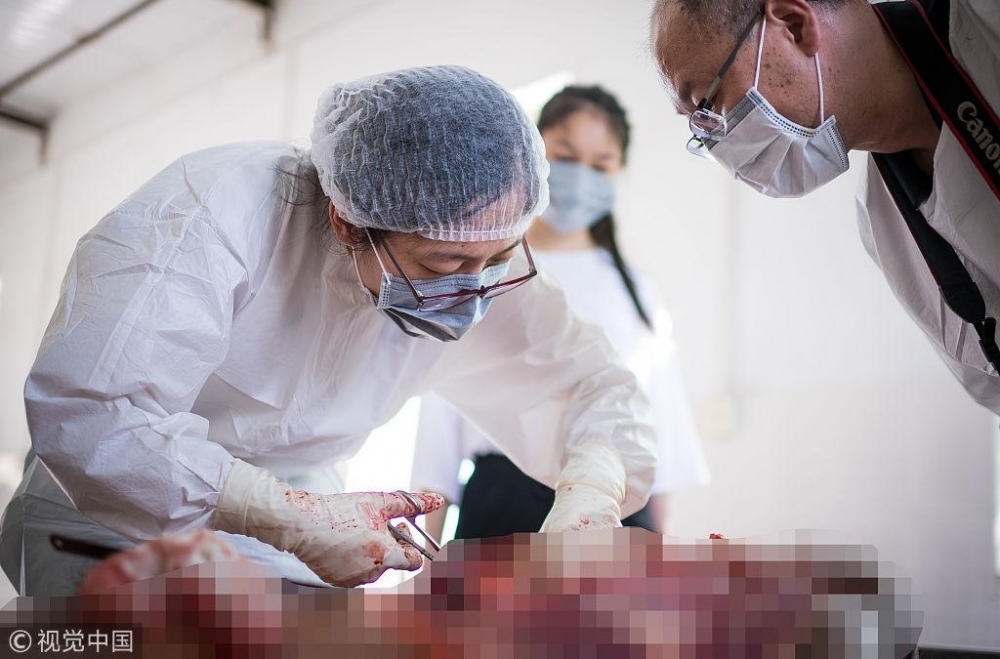 ������ǧ��ʬ��Ů��ҽ��������������