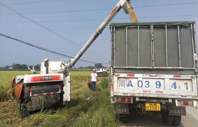 ����һ������