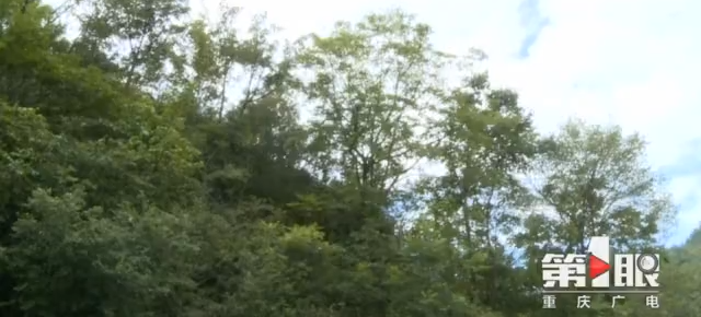 2000ĶҰ춹ɼɽ 150 񾹶겻֪