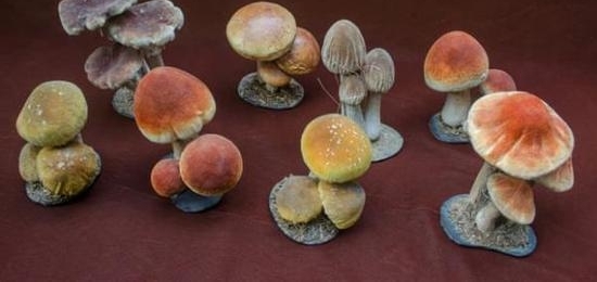 �ÿ�ѧ�������������ԡ������˼�Ĺ��¡�