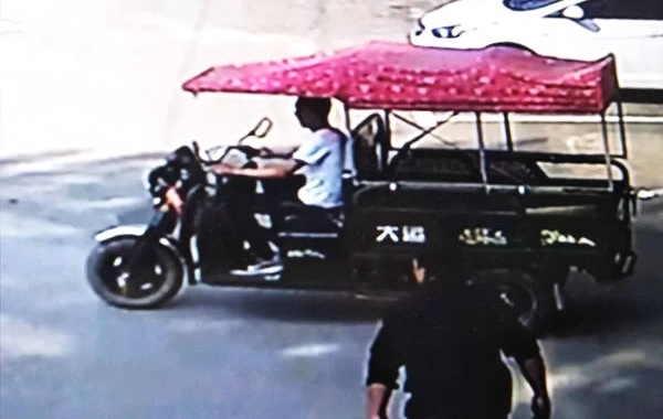 ���������������������������컯�ս����С��͵�綯����