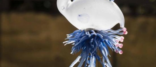 �ÿ�ѧ�������������ԡ������˼�Ĺ��¡�