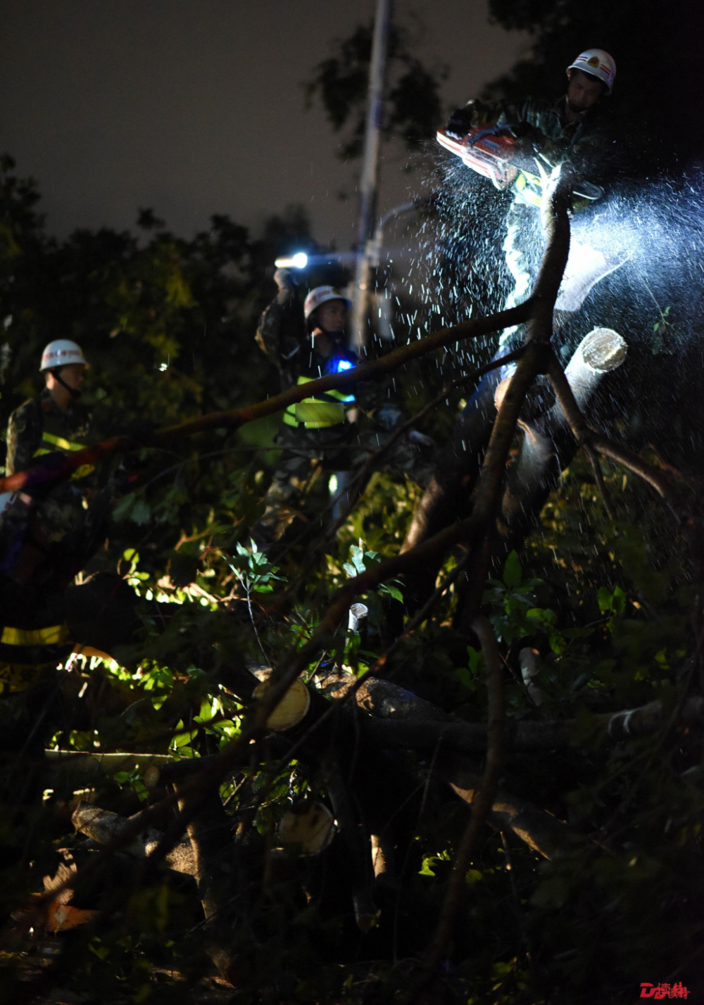 ��������������Դ�ͨ＂���һ�?�＂������˵����