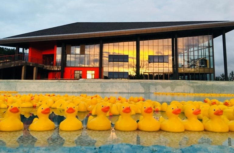 INS���Ѿ��˳�������¶����Ȫ����ŷ��С��