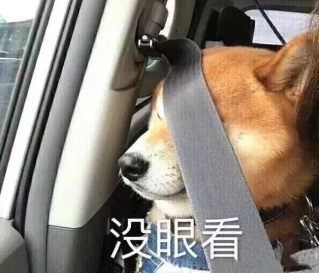ͣΪλ