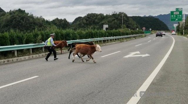 Σ�գ�ţȺ������ٹ�·ɢ�� �������� 5 ����Ž�������