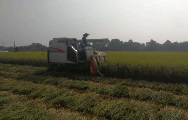 ����һ������