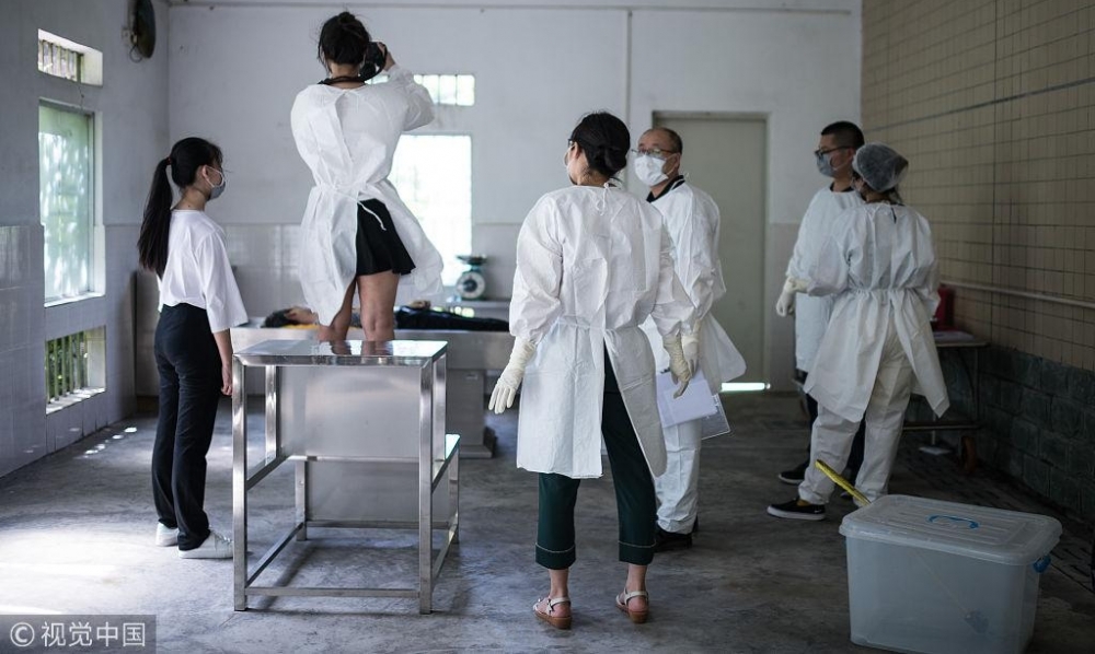 ������ǧ��ʬ��Ů��ҽ��������������