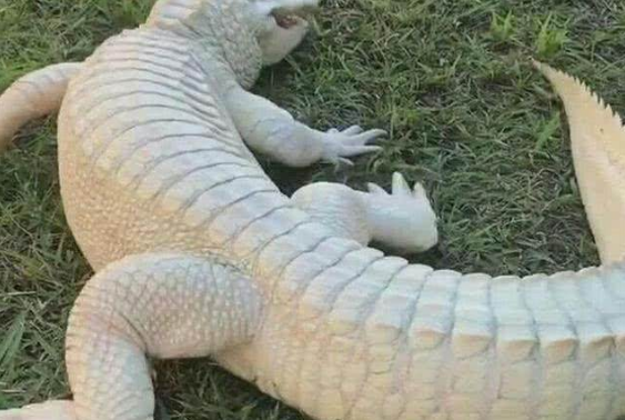 ŮӸ, 1ò, ŮȴôҲ˲