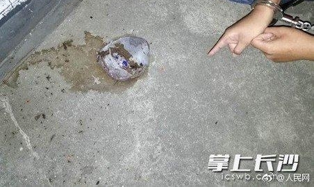 ����ʺ������˥���ӳ����ơ����ը��������δ� 19 ¥����Ϯ������