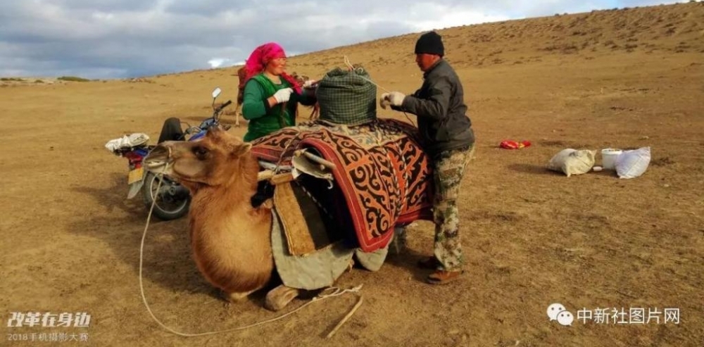 �ĸ￪������2018�ֻ���Ӱ�����������ܽ���¯��