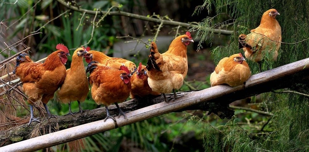 ϲͻȻŮķңȥ͵ȴ˶ݡ