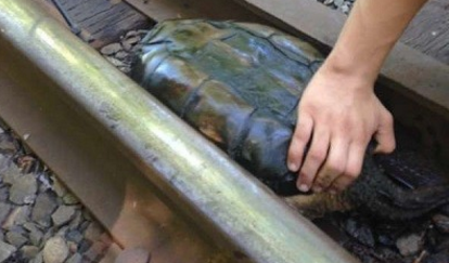 Ϸ֡ʯͷǰϸ󣬲֪ˣ