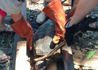 Ϸ֡ʯͷǰϸ󣬲֪ˣ