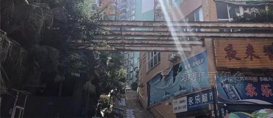 ����һС������¥������б �ٷ���������֯��ȫ���