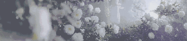 ɽ��������Ϊ����ĵ����ҵ�����²�