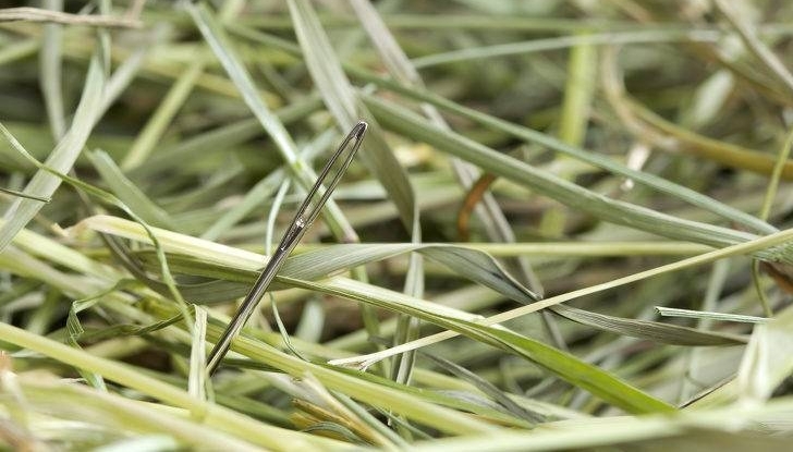 10����·�Ͽ��������Բ�Ҫ�񡱵Ķ�����