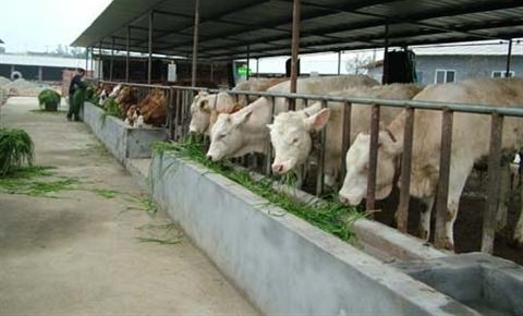 ǼһڹѧĲʿȻصϼţ