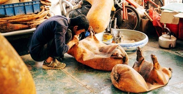 ֽɡռʧɽɡ50꣬ɡϢ