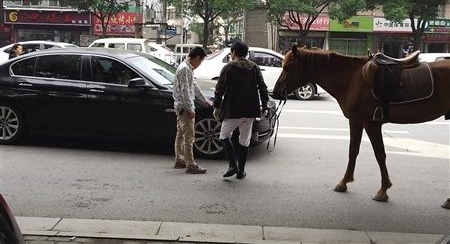 �Ϻ���Ů��ͷ�������ں󣬳ɶ�����Ⱥ���񱼣���Щ������·�Ĺ���