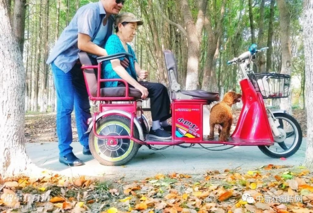 �ĸ￪������2018�ֻ���Ӱ�����������ܽ���¯��