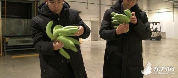 ֱعԱ²飺䡱ɲǡ